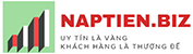 NaptinShop Logo